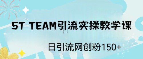 ST TEAM引流实操课，日引流网创粉100+-有道网创