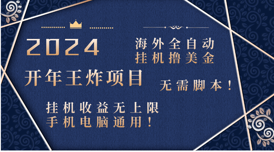 2024海外全自动挂机撸美金项目！手机电脑均可，无需脚本，收益无上限！-有道网创