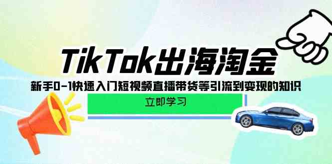 TikTok出海淘金，新手0-1快速入门短视频直播带货等引流到变现的知识-有道网创