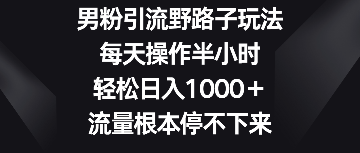 男粉引流野路子玩法，每天操作半小时轻松日入1000＋，流量根本停不下来-有道网创