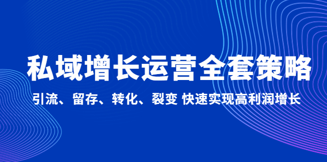 私域增长运营全套策略：引流、留存、转化、裂变 快速实现高利润增长-有道网创