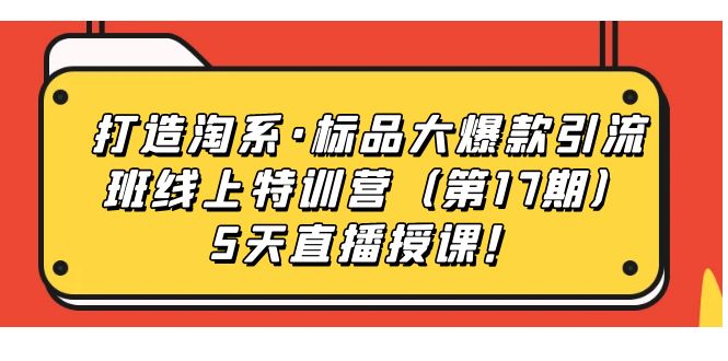 打造淘系·标品大爆款引流班线上特训营（第17期）5天直播授课！-有道网创