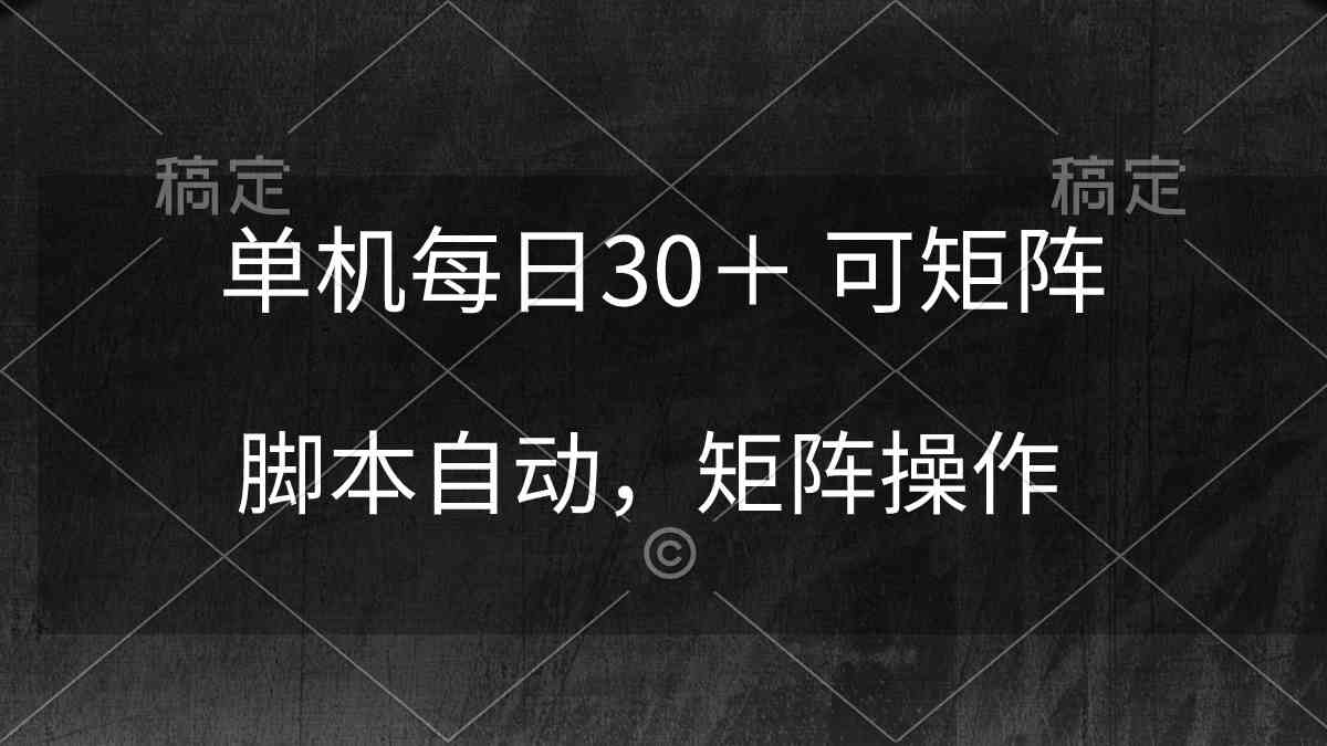 （10100期）单机每日30＋ 可矩阵，脚本自动 稳定躺赚-有道网创