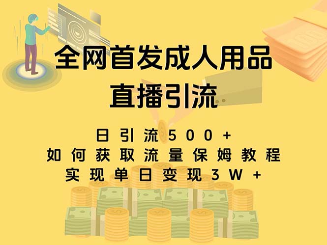 最新全网独创首发，成人用品直播引流获客暴力玩法，单日变现3w保姆级教程-有道网创