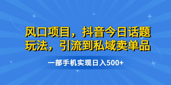 风口项目，抖音今日话题玩法，引流到私域卖单品，一部手机实现日入500+-有道网创