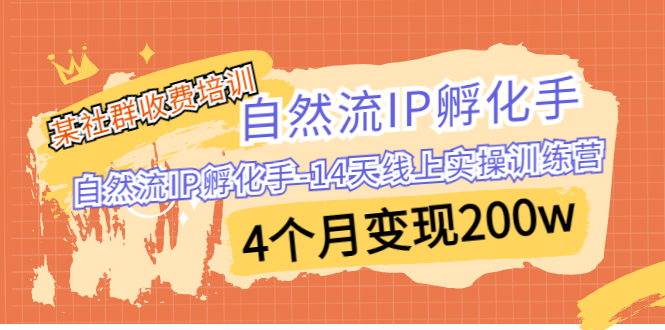 某社群收费培训：自然流IP 孵化手-14天线上实操训练营 4个月变现200w-有道网创