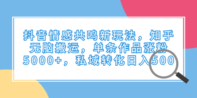 抖音情感共鸣新玩法，知乎无脑搬运，单条作品涨粉5000+，私域转化日入500-有道网创