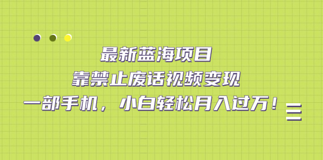 最新蓝海项目，靠禁止废话视频变现，一部手机，小白轻松月入过万！-有道网创