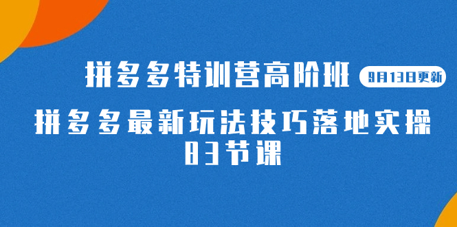 2023拼多多·特训营高阶班【9月19日更新】拼多多最新玩法技巧落地实操-83节-有道网创