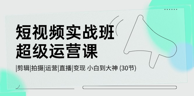 短视频实战班超级运营课 |剪辑|拍摄|运营|直播|变现 小白到大神 (30节)-有道网创