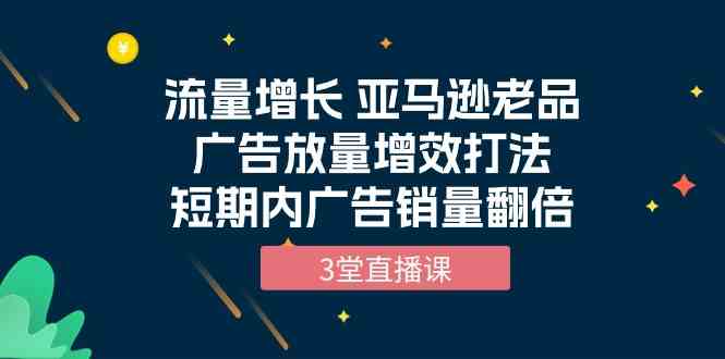 （10112期）流量增长 亚马逊老品广告放量增效打法，短期内广告销量翻倍（3堂直播课）-有道网创