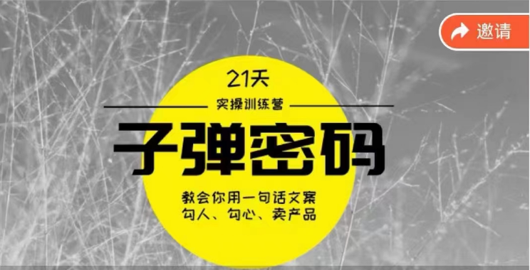 《子弹密码训练营》用一句话文案勾人勾心卖产品，21天学到顶尖文案大师策略和技巧-有道网创