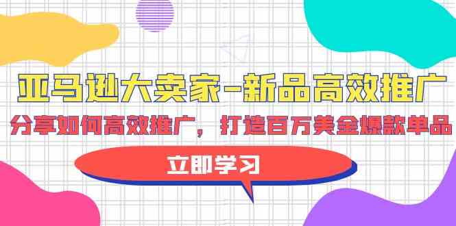 （9945期）亚马逊 大卖家-新品高效推广，分享如何高效推广，打造百万美金爆款单品-有道网创