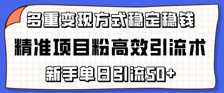 精准项目粉高效引流术，新手单日引流50+，多重变现方式稳定赚钱-有道网创