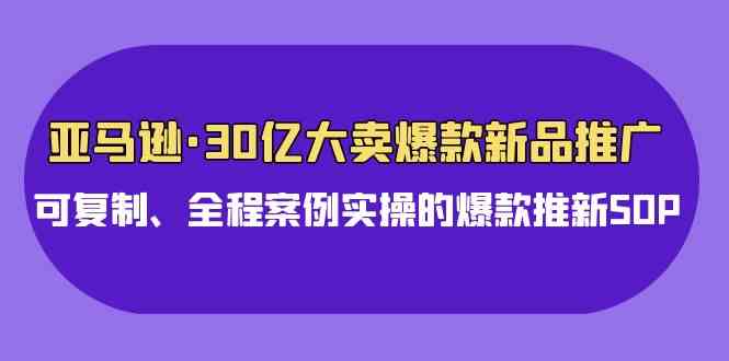 （9944期）亚马逊30亿·大卖爆款新品推广，可复制、全程案例实操的爆款推新SOP-有道网创