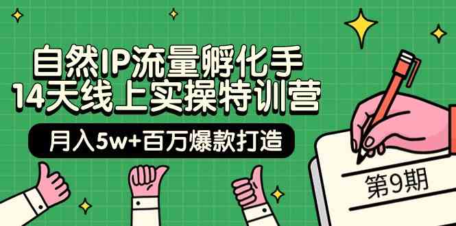 自然IP流量孵化手14天线上实操特训营【第9期】月入5w+百万爆款打造 (74节)-有道网创