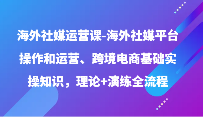 海外社媒运营课-海外社媒平台操作和运营、跨境电商基础实操知识，理论+演练全流程-有道网创