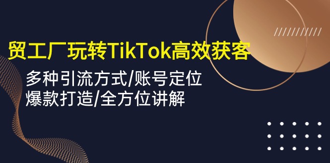 外贸工厂玩转TikTok高效获客，多种引流方式/账号定位/爆款打造/全方位讲解-有道网创