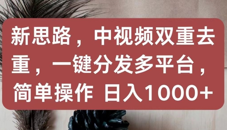 新思路，中视频双重去重，一键分发多平台，简单操作，日入1000+-有道网创