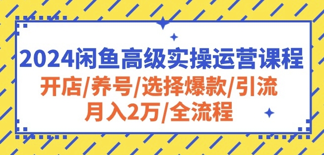 2024闲鱼高级实操运营课程：开店/养号/选择爆款/引流/月入2万/全流程-有道网创