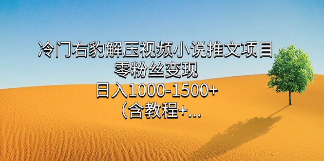 冷门右豹解压视频小说推文项目，零粉丝变现，日入1000-1500+。-有道网创