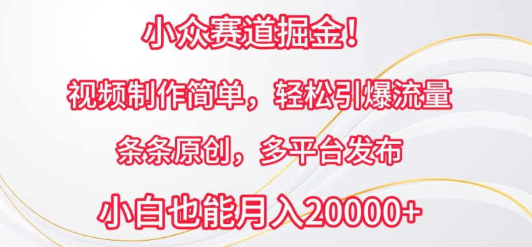 小众赛道掘金，视频制作简单，轻松引爆流量，条条原创，多平台发布-有道网创