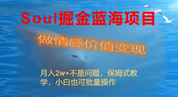 Soul掘金蓝海项目细分赛道，做情感价值变现，月入2w+不是问题-有道网创