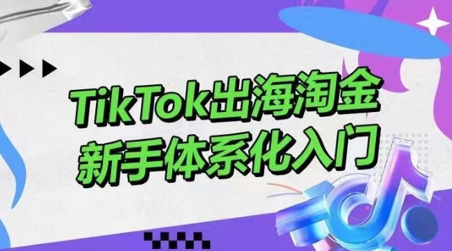 TikTok出海淘金，新手体系化入门，零基础快速入门，掌握短视频、直播带货等引流到变现的知识-有道网创