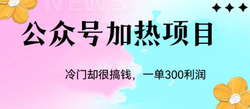 冷门公众号加热项目，一单利润300+-有道网创