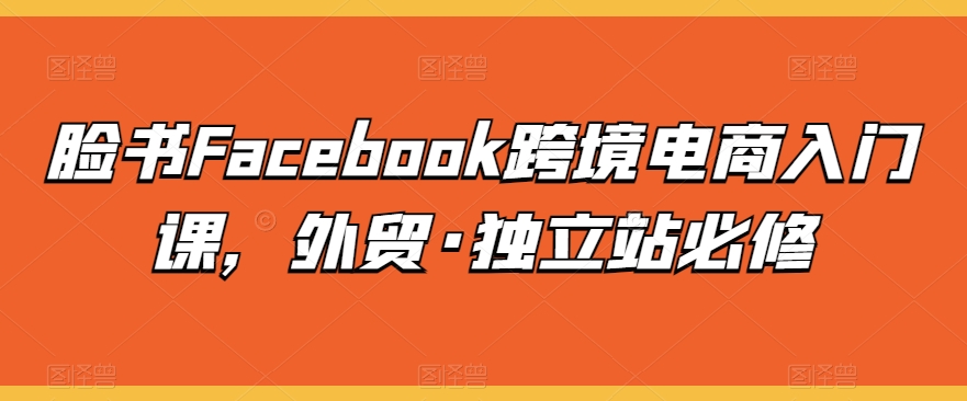 脸书Facebook跨境电商入门课，外贸·独立站必修-有道网创