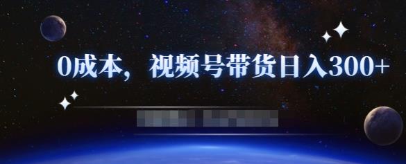 零基础视频号带货赚钱项目，0成本0门槛轻松日入300+【视频教程】￼-有道网创