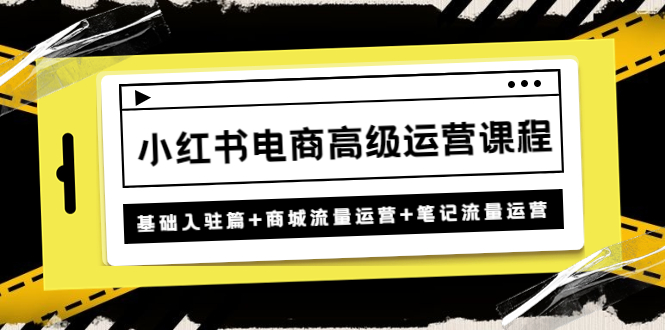 小红书电商高级运营课程：基础入驻篇+商城流量运营+笔记流量运营-有道网创