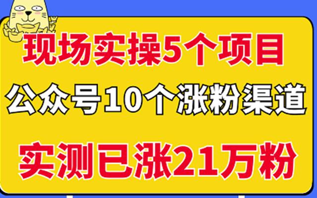 现场实操5个公众号项目，10个涨粉渠道，实测已涨21万粉！￼-有道网创