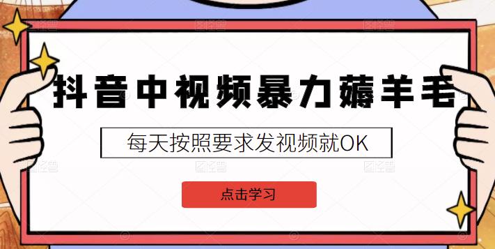 2022抖音中视频暴力薅羊毛白嫖项目：新号每天20块，老号几天几百块，可多号￼-有道网创