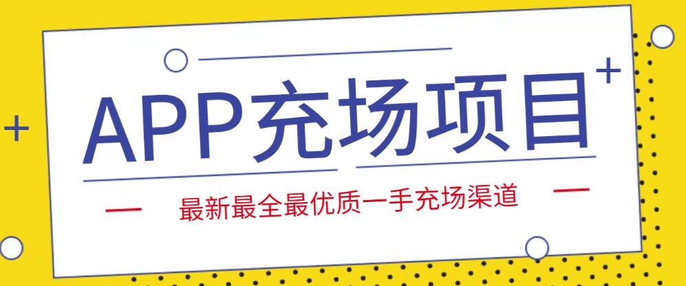 外面收费9800的APP充场项目，实操一天收入800+个人和工作室都可以做-有道网创