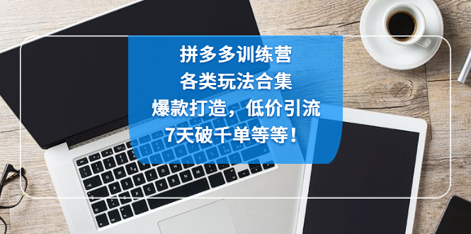 拼多多训练营：各玩法合集，爆款打造，低价引流，7天破千单等等！-有道网创