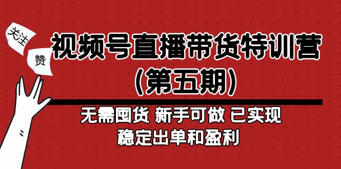 视频号直播带货特训营（第五期）无需囤货 新手可做 已实现稳定出单和盈利-有道网创