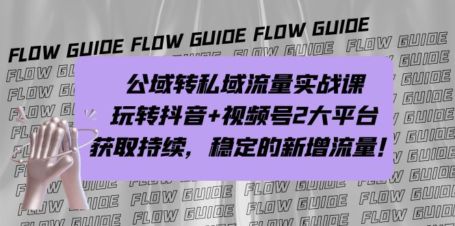 公域转私域流量实战课，玩转抖音+视频号2大平台，获取持续，稳定的新增流量-有道网创