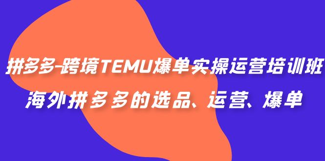 拼多多-跨境TEMU爆单实操运营培训班，海外拼多多的选品、运营、爆单-有道网创