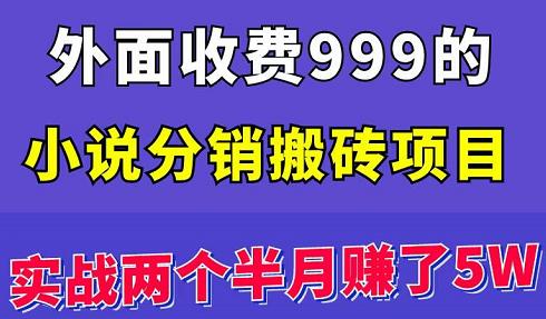 外面收费999的小说分销搬砖项目：实战两个半月赚了5W块，操作简单！￼-有道网创