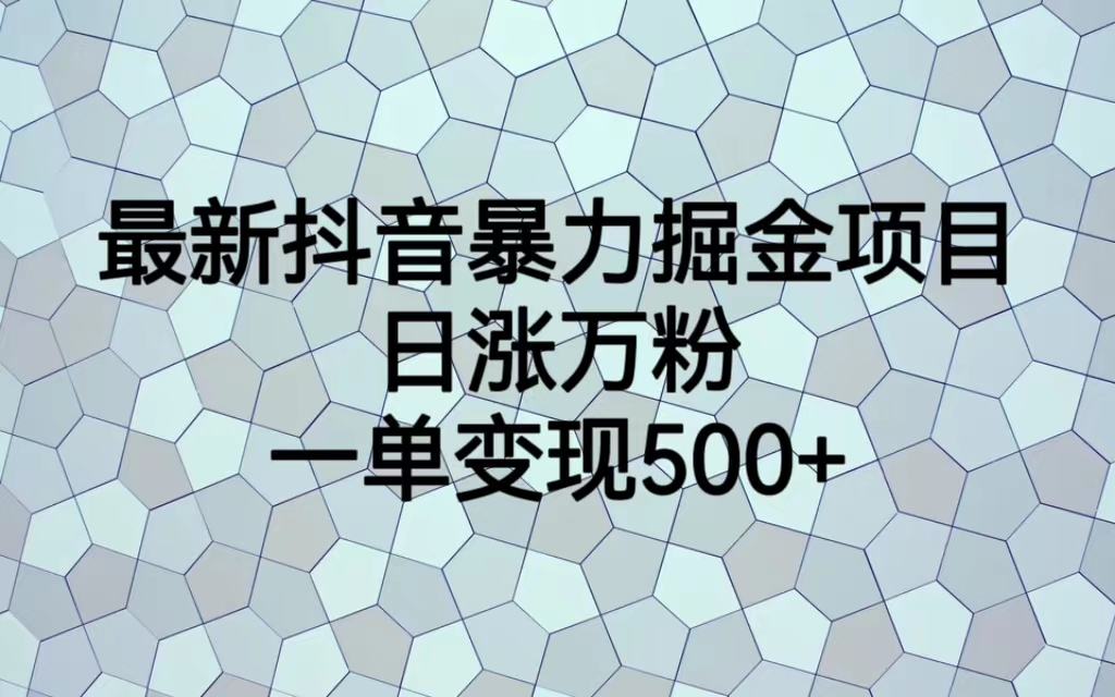 最火热的抖音暴力掘金项目，日涨万粉，多种变现方式，一单变现可达500+-有道网创