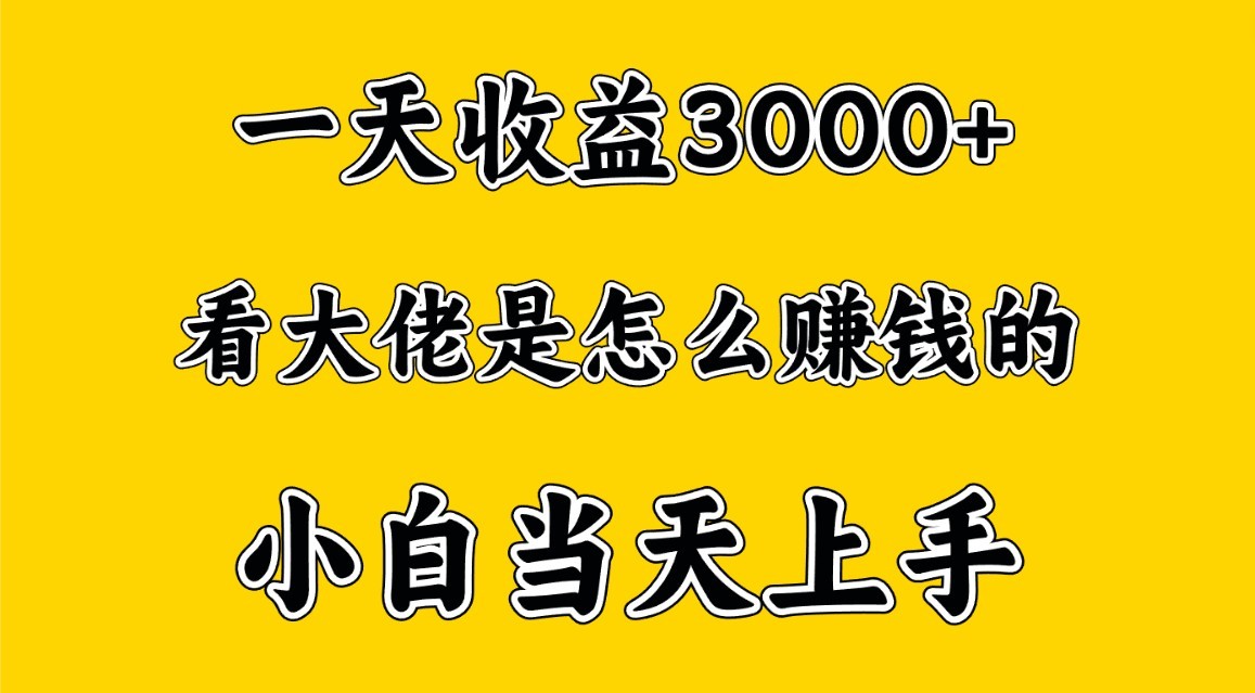 一天赚3000多，大佬是这样赚到钱的，小白当天上手，穷人翻身项目-有道网创