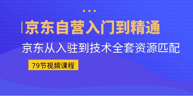 京东自营入门到精通：京东从入驻到技术全套资源匹配（79节课）-有道网创