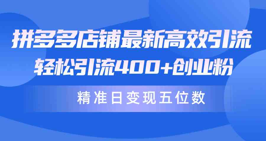 （10041期）拼多多店铺最新高效引流术，轻松引流400+创业粉，精准日变现五位数！-有道网创