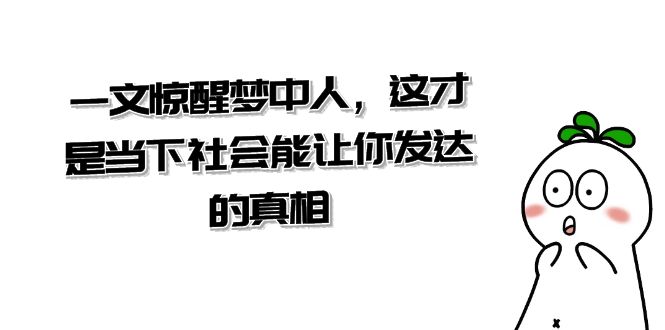 某公众号付费文章《一文 惊醒梦中人，这才是当下社会能让你发达的真相》-有道网创