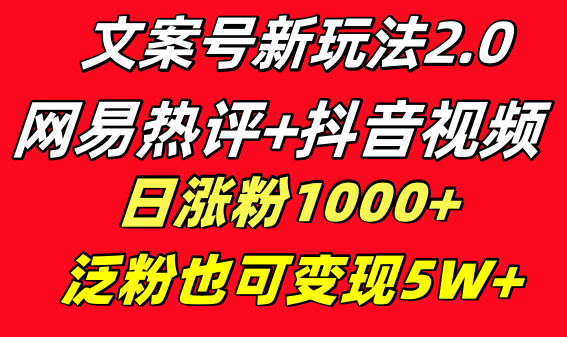 文案号新玩法 网易热评+抖音文案 一天涨粉1000+ 多种变现模式 泛粉也可变现-有道网创