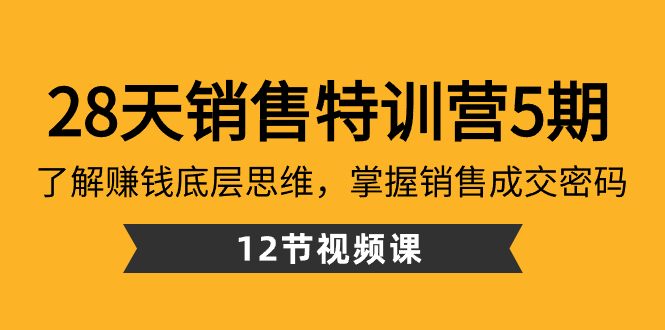 28天·销售特训营5期：了解赚钱底层思维，掌握销售成交密码（12节课）-有道网创