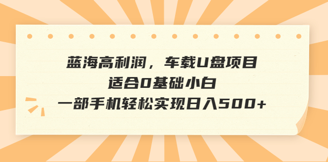 蓝海高利润，车载U盘项目，适合0基础小白，一部手机轻松实现日入500+-有道网创