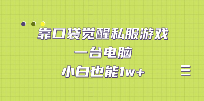 靠口袋觉醒私服游戏，一台电脑，小白也能1w+（教程+工具+资料）-有道网创