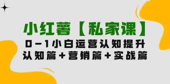 （9910期）小红薯【私家课】0-1玩赚小红书内容营销，认知篇+营销篇+实战篇（11节课）-有道网创